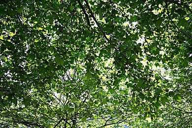 《最终幻想起源：天堂的陌生人》通过ESRB评级 包含大量血腥暴力性暗示