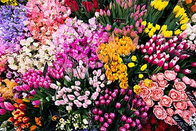 《心灵杀手2》大受好评 Remedy股价飞涨13%